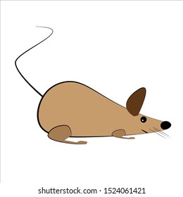 The brown rat is lying parallel to the ground. Rat Symbols 2020 - Full color vector images