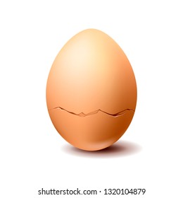 Brown realistic vector chicken egg with crack isolated on white background
