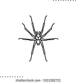 Brown Recluse Spider, Poisonous Insect Vector Icon In Outline