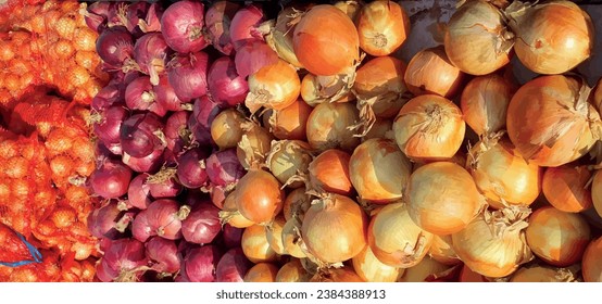 Brown and red onions close up. Selling onions at the fair and market. Buying onions in a bag. Golden bow on display. Red onion is a healthy vegetable and contains vitamins. Vitamin C. Salad onions.