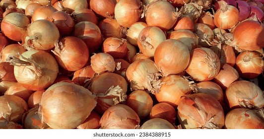 Cebollas marrones y rojas se acercan. Vendiendo cebollas en la feria y el mercado. Comprando cebolla en una bolsa. Arco dorado en exhibición. La cebolla roja es una verdura sana que contiene vitaminas. Vitamina C. Cebollas de ensalada.