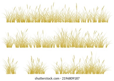 brown reeds grass. dry autumn grass set