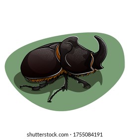 Brown rhinoceros beetle. Vector illustration