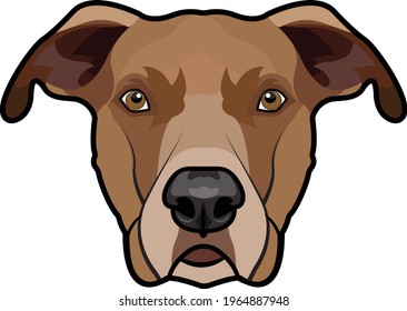 Brown Rhodesian Ridgeback Dog vector portrait 