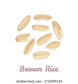 Brown Rice Grain Isolated On White Background. Vector Illustration Of Unpolished Rice Seeds In Cartoon Flat Style. Healthy Organic Food Icon.