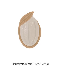 brown rice. On a white background.