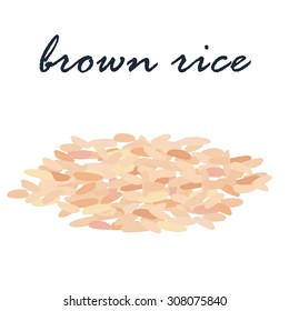 Brown Rice Organic Grain Vector Illustration