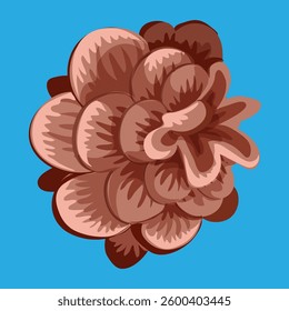 Brown round pine cone vector illustration