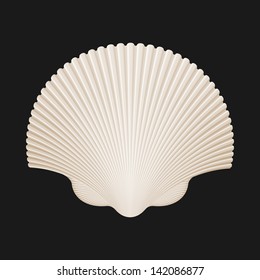 Brown Scallop Shell. Isolated On Black. Vector Illustration