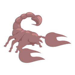 Brown scorpion spreading claws and raising tail in attack position