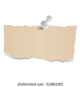 brown scraps of paper with pin
