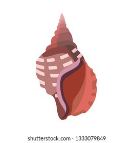 Brown sea shell illustration. Mollusc, ocean, decoration. Nature concept. Vector illustration can be used for topics like ocean, sea, design, decoration