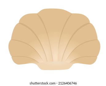 Brown sea shell. vector illustration