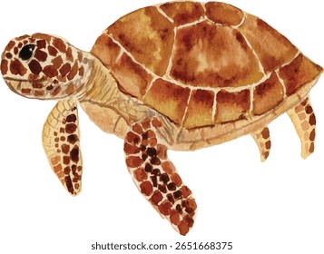 Brown Sea Turtle Watercolor vector