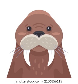 brown sea walrus with two fangs. flat vector illustration.