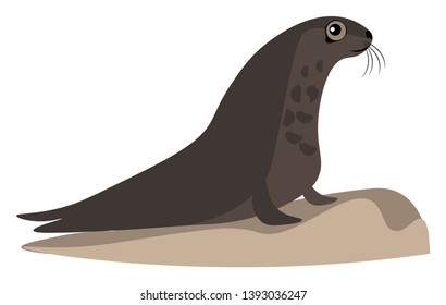 A brown seal eagerly looking into the ocean from the shore vector color drawing or illustration