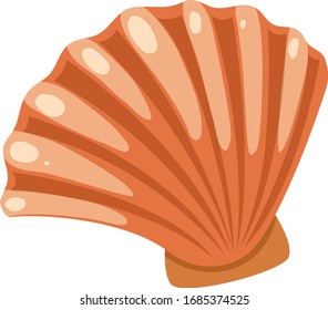 Brown seashell on white background illustration