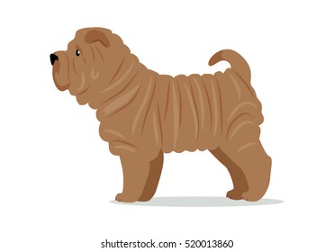 Brown shar pei in stand on white background. Dog icon or logo element. Vector illustration in flat style. Side view shar pei design. Cartoon dog character, pet animal.