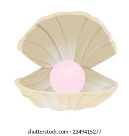 Brown shell pearl. vector illustration