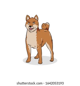 brown shiba dog standing vector