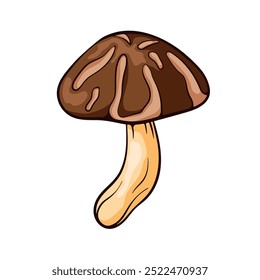 Brown shiitake mushroom in cartoon style. Design for food design, culinary projects nature theme, menu restaurant and educational materials about fungi and plants.