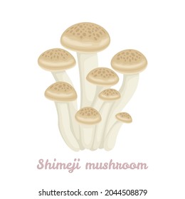 Brown shimeji mushrooms isolated on white background. Vector cartoon flat illustration. Food icon.