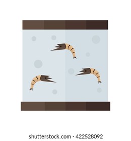brown shrimp in tank vector