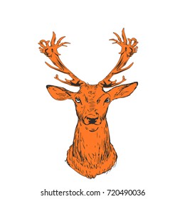 Brown silhouette of deer head, on white background.vector