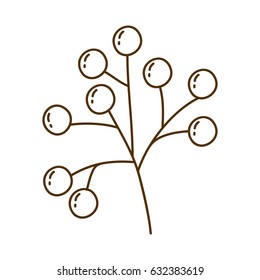 brown silhouette of stem with seeds vector illustration