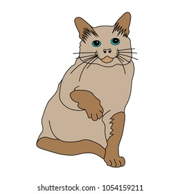 
Brown sitting cat with raised paw, vector