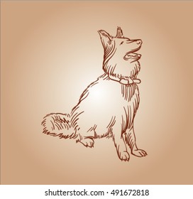 brown sketch of dog. Vector sketch.