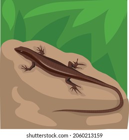 Brown skink illustration, on  tree background, lizard, reptile, animal, isolated, nature, white, wildlife, 
tail, newt, brown, salamander, animals, small, skink, amphibian, 
 dragon