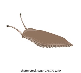 Brown Slug In Cartoon Style. Drawing Isolated On A White Background. Stock Vector Illustration.