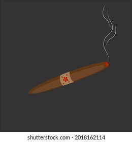 Brown smoking cigar on dark background. Isolated cigar. Smoke. Vector illustration