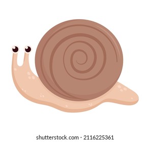 brown snail design over white