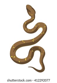 Brown snake vector