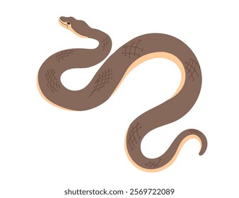 Brown snake with a winding body and detailed scales. Simple cartoon animal design. Good for reptiles or nature images. Vector illustration isolated on white background