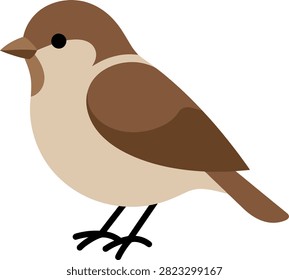 Brown sparrow bird flat vector illustration with wildlife illustration isolated passerine ornithology character songbird