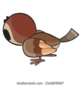 brown sparrow sitting with its back to us, cartoon illustration, isolated object on a white background, vector, eps