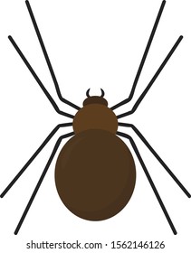 Brown spider, illustration, vector on white background.