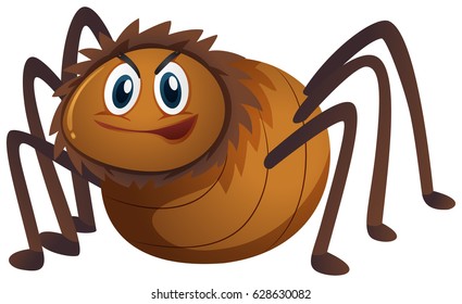 Brown spider on white background illustration