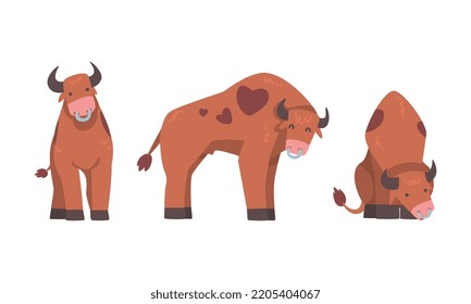 Brown spotted bull in different poses set, ox farm animal cartoon vector illustration