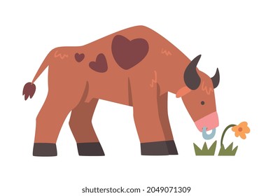 Brown Spotted Bull with Horns and Ring in the Nose Grazing on the Field Vector Illustration