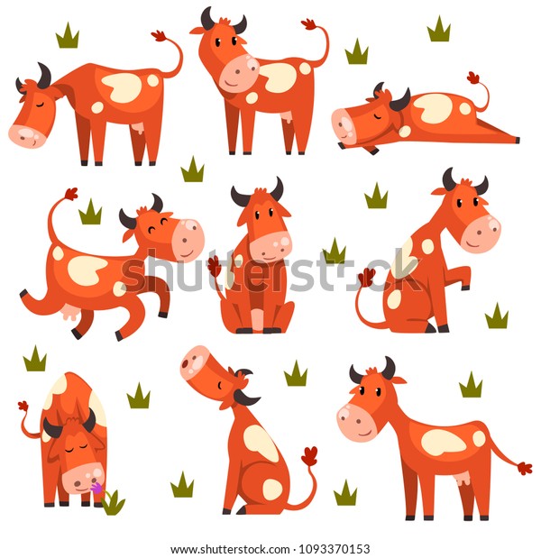 Brown spotted cow\
set, farm animal character in various poses vector Illustrations on\
a white background