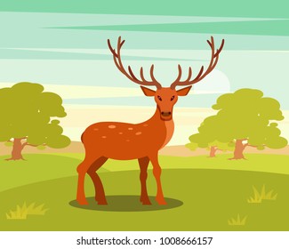 Brown spotted deer with antlers standing, wild animal amongst a backdrop of green meadow and forest vector Illustration