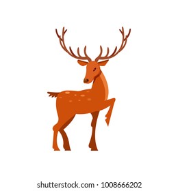 Brown spotted forest deer with antlers, wild animal cartoon vector Illustration