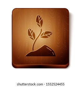 Brown Sprout icon isolated on white background. Seed and seedling. Leaves sign. Leaf nature. Wooden square button. Vector Illustration