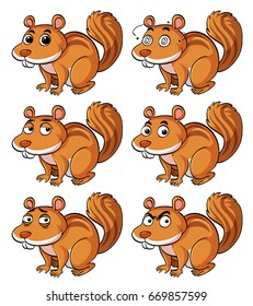 Brown squirrel with different facial expressions illustration