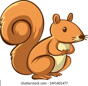 Brown squirrel on white background illustration