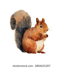 Brown squirrel standing on hind legs